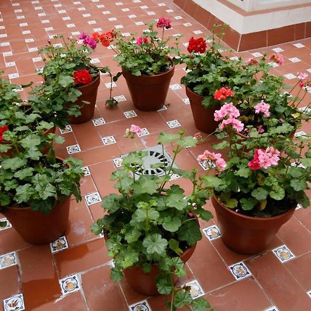 Apartamentos Las Cruces Sevilla Buitenkant foto