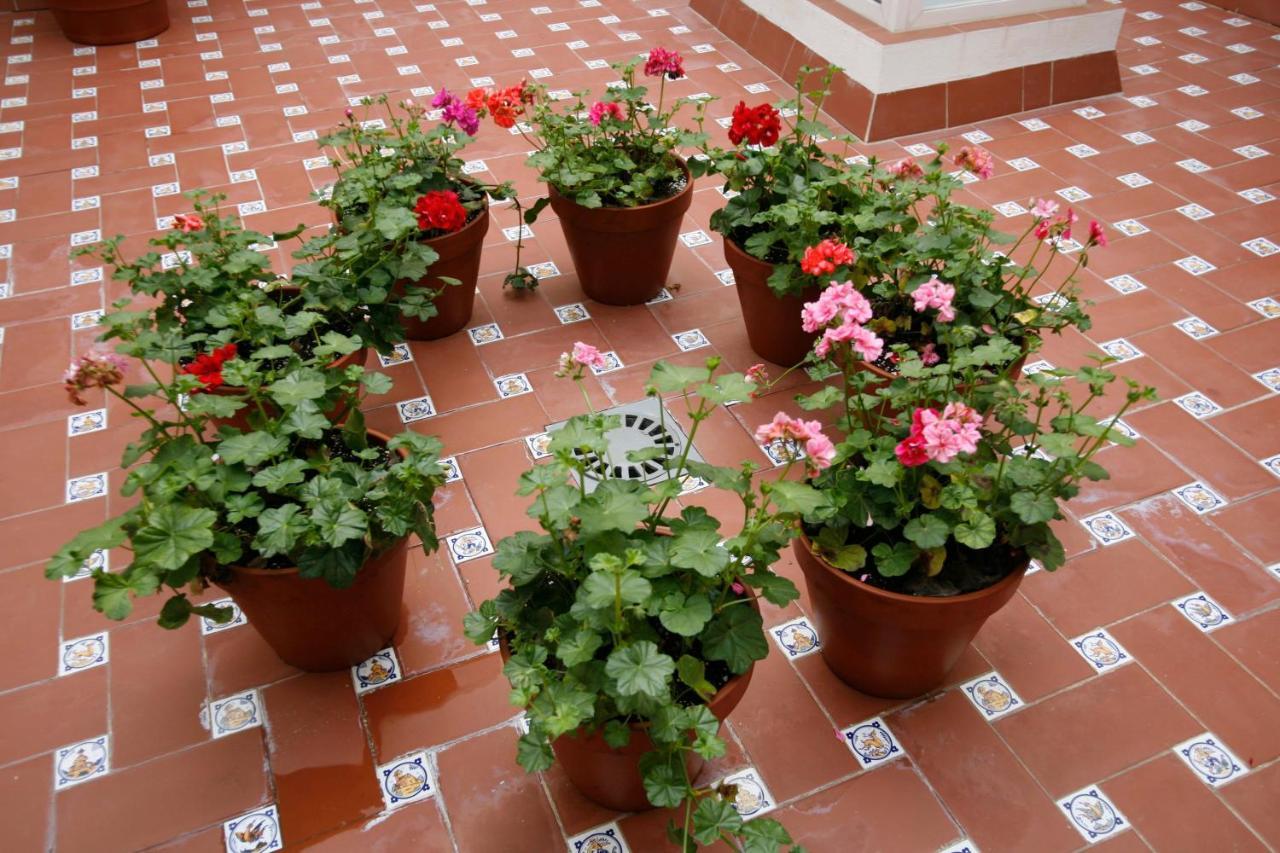 Apartamentos Las Cruces Sevilla Buitenkant foto